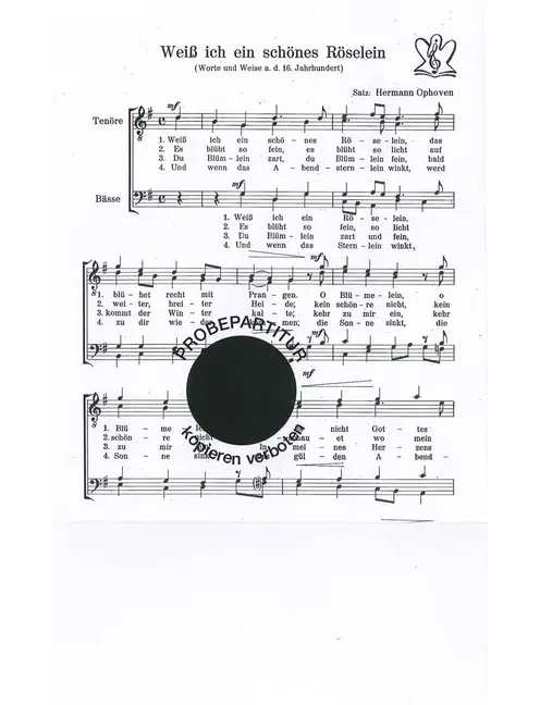 Weiss ich ein schönes Röselein